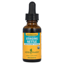 Load image into Gallery viewer, Herb Pharm, Stinging Nettle, Alcohol-Free, 1 fl oz (30 ml)