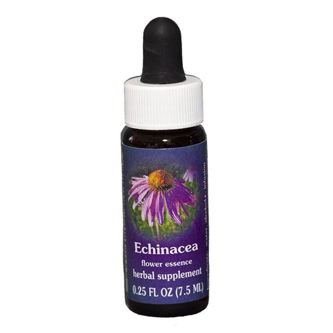 Fes Quintessentials Echinacea 7.5ml